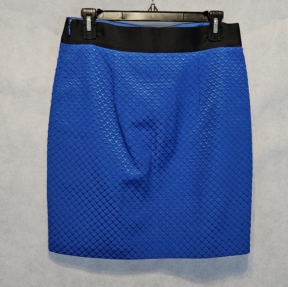 Worthington Cobalt Blue Textured Embroidered Patterned Skirt Size 4 - Picture 3 of 5